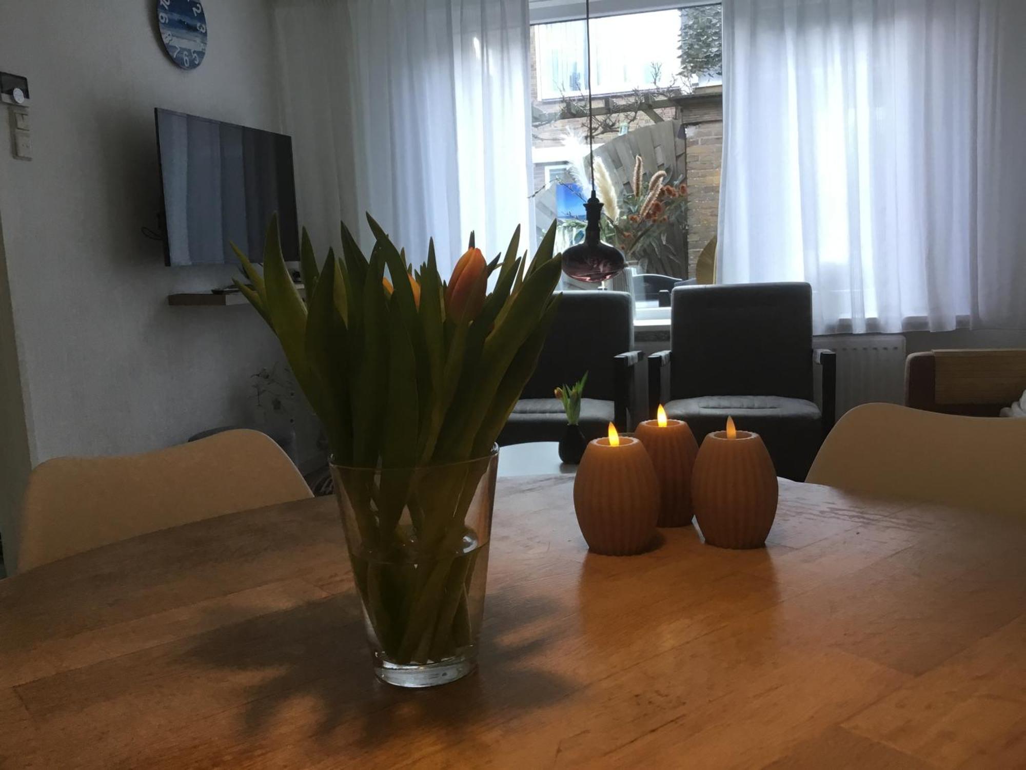 Willa De Linden Egmond aan Zee Zewnętrze zdjęcie